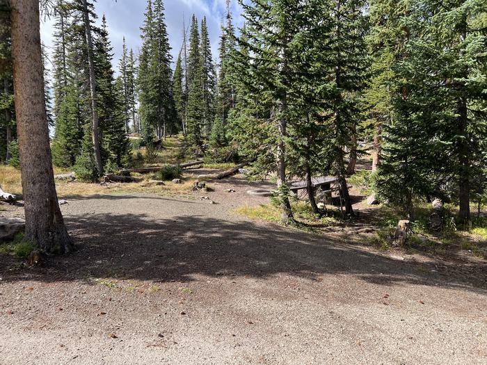 A photo of Site 12 of Loop BUTTR at Butterfly Campground with Picnic Table, Fire Pit