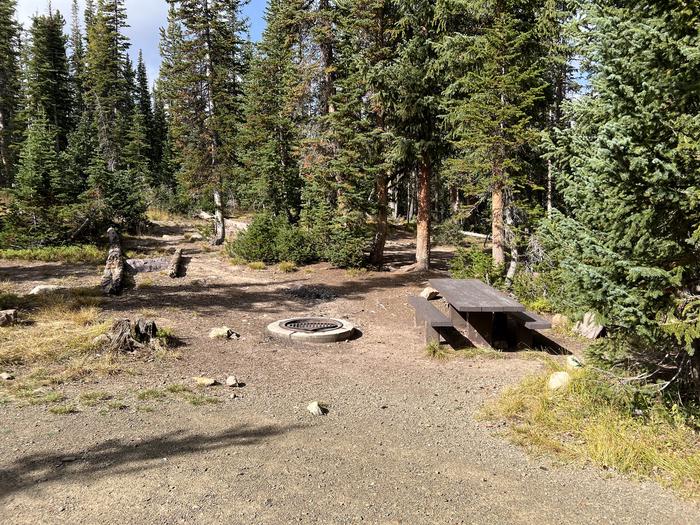 A photo of Site 12 of Loop BUTTR at Butterfly Campground with Picnic Table, Fire Pit