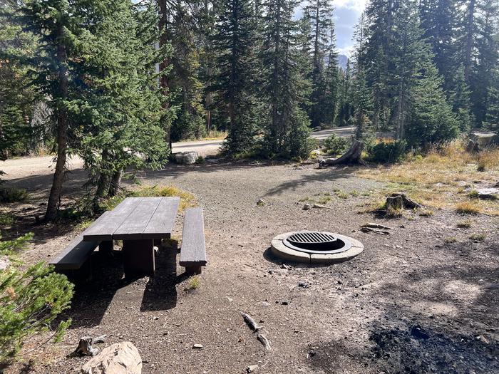 A photo of Site 12 of Loop BUTTR at Butterfly Campground with Picnic Table, Fire Pit