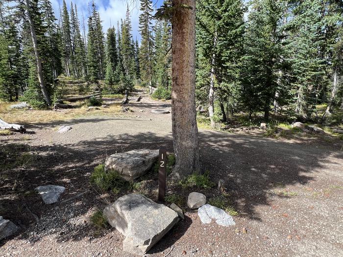 A photo of Site 12 of Loop BUTTR at Butterfly Campground with No Amenities Shown