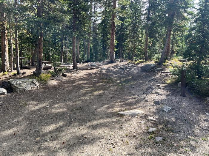 A photo of Site 13 of Loop BUTTR at Butterfly Campground with No Amenities Shown