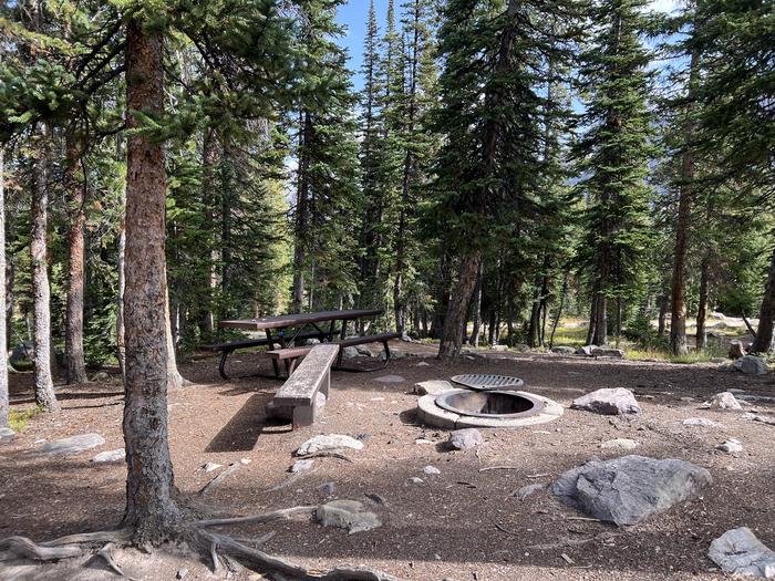 A photo of Site 13 of Loop BUTTR at Butterfly Campground with Picnic Table, Fire Pit