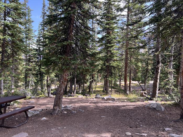 A photo of Site 13 of Loop BUTTR at Butterfly Campground with Picnic Table