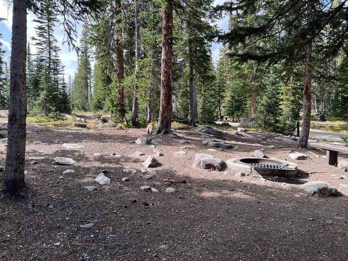 A photo of Site 13 of Loop BUTTR at Butterfly Campground with Fire Pit