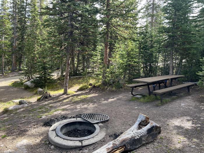 A photo of Site 14 of Loop BUTTR at Butterfly Campground with Picnic Table, Fire Pit