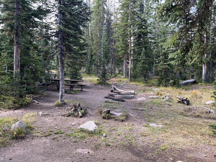 A photo of Site 14 of Loop BUTTR at Butterfly Campground with Picnic Table, Fire Pit