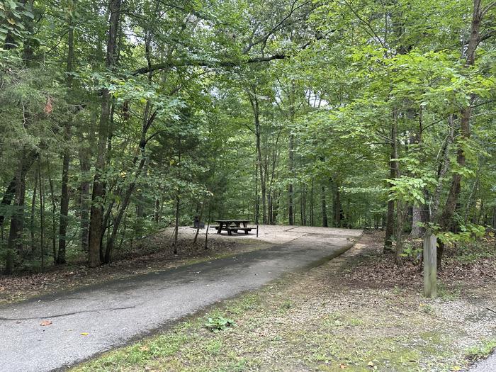 A photo of Site H032 of Loop H LOOP  at ZILPO - DANIEL BOONE NAT. FOR. with Picnic Table, Fire Pit, Shade, Tent Pad, Lantern Pole