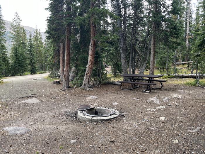 A photo of Site 17 of Loop BUTTR at Butterfly Campground with Picnic Table, Fire Pit