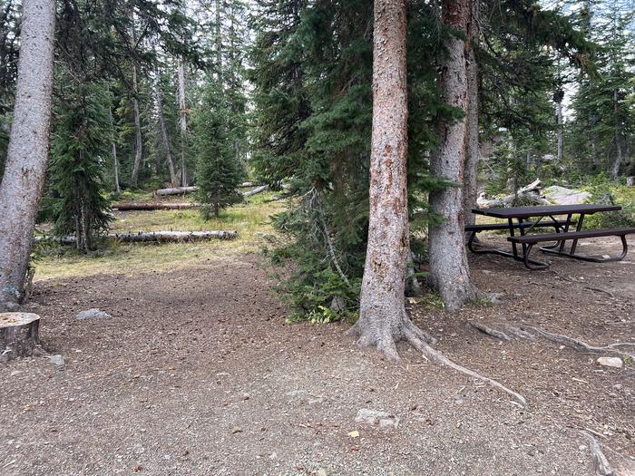 A photo of Site 17 of Loop BUTTR at Butterfly Campground with Picnic Table