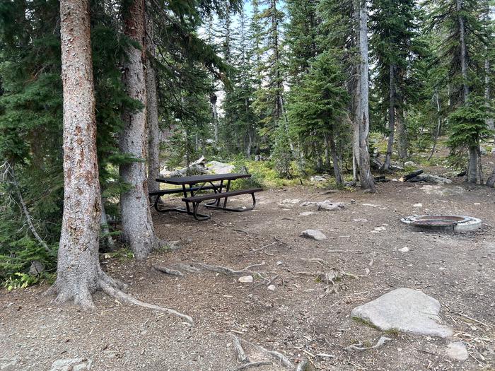 A photo of Site 17 of Loop BUTTR at Butterfly Campground with Picnic Table, Fire Pit