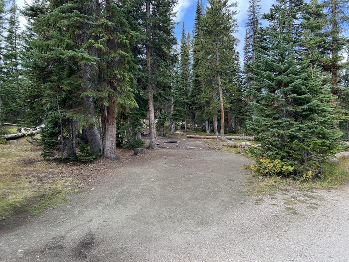 A photo of Site 17 of Loop BUTTR at Butterfly Campground with No Amenities Shown