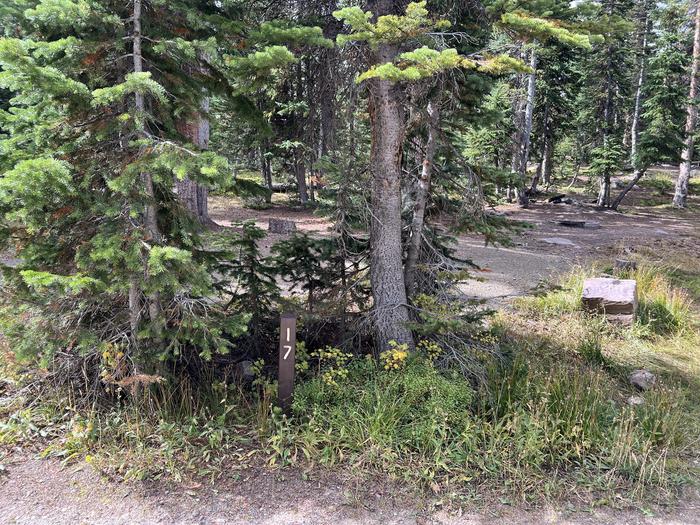 A photo of Site 17 of Loop BUTTR at Butterfly Campground with No Amenities Shown