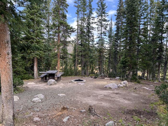 A photo of Site 18 of Loop BUTTR at Butterfly Campground with Picnic Table, Fire Pit