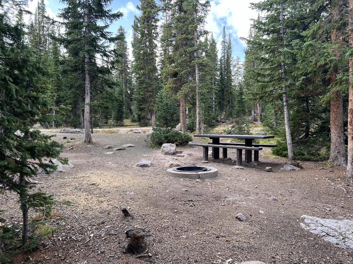 A photo of Site 18 of Loop BUTTR at Butterfly Campground with Picnic Table, Fire Pit