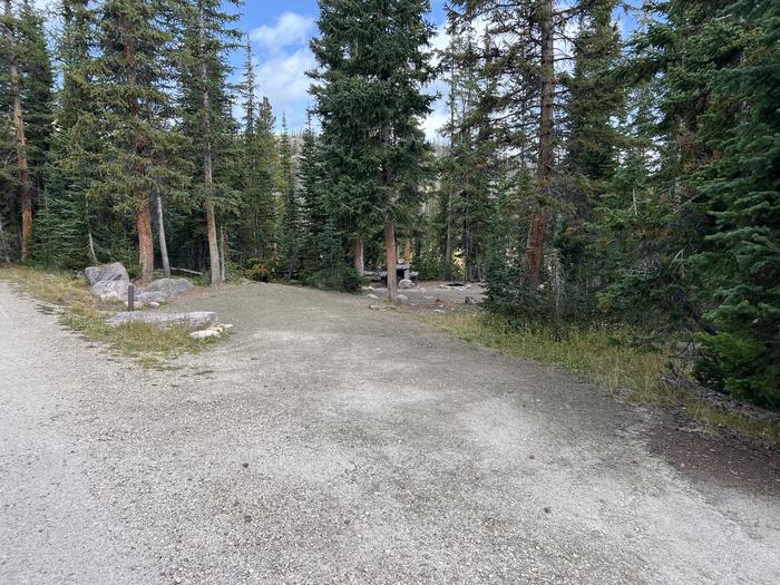 A photo of Site 18 of Loop BUTTR at Butterfly Campground with No Amenities Shown