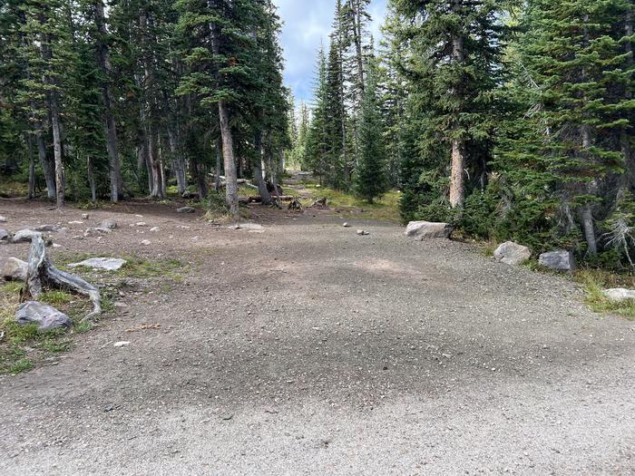 A photo of Site 19 of Loop BUTTR at Butterfly Campground with No Amenities Shown