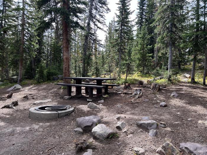 A photo of Site 19 of Loop BUTTR at Butterfly Campground with Picnic Table, Fire Pit