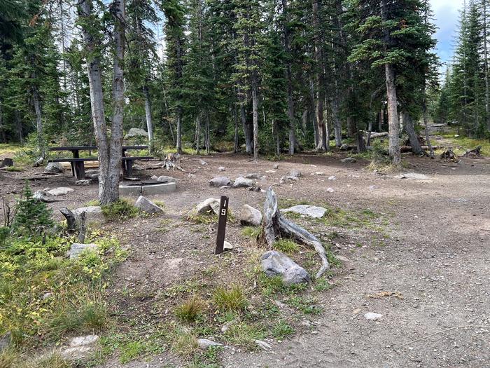 A photo of Site 19 of Loop BUTTR at Butterfly Campground with No Amenities Shown