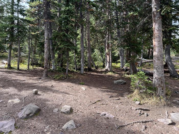 A photo of Site 19 of Loop BUTTR at Butterfly Campground with No Amenities Shown