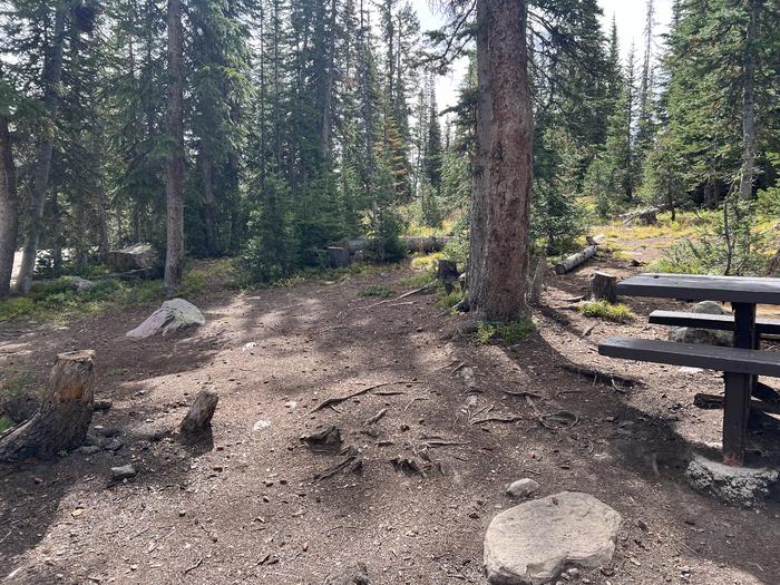 A photo of Site 19 of Loop BUTTR at Butterfly Campground with No Amenities Shown