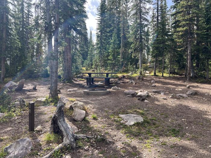 A photo of Site 19 of Loop BUTTR at Butterfly Campground with Picnic Table, Fire Pit