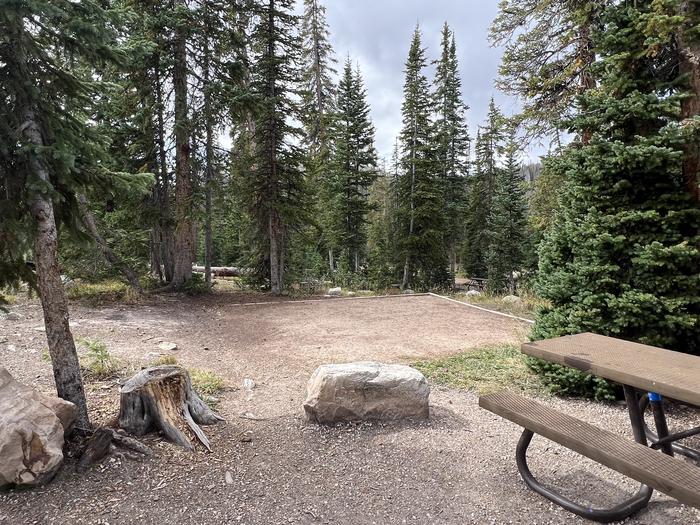 A photo of Site 007 of Loop A at MIRROR LAKE with Tent Pad