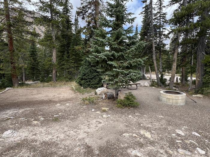 A photo of Site 007 of Loop A at MIRROR LAKE with Picnic Table, Fire Pit