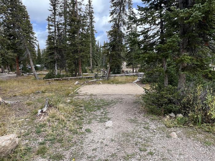 A photo of Site 008 of Loop A at MIRROR LAKE with Tent Pad