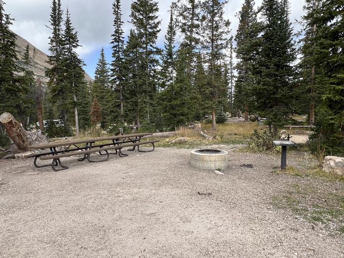 A photo of Site 008 of Loop A at MIRROR LAKE with Picnic Table, Fire Pit