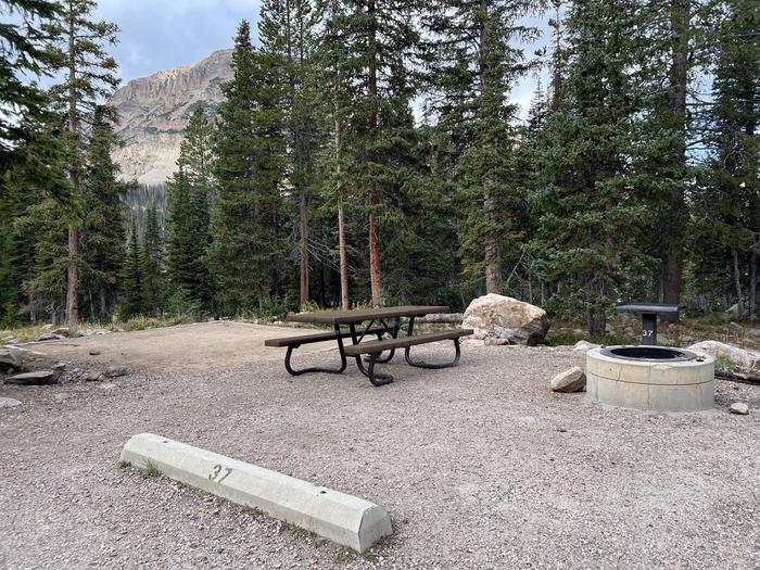 A photo of Site 037 of Loop B at MIRROR LAKE with Picnic Table, Fire Pit, Tent Pad