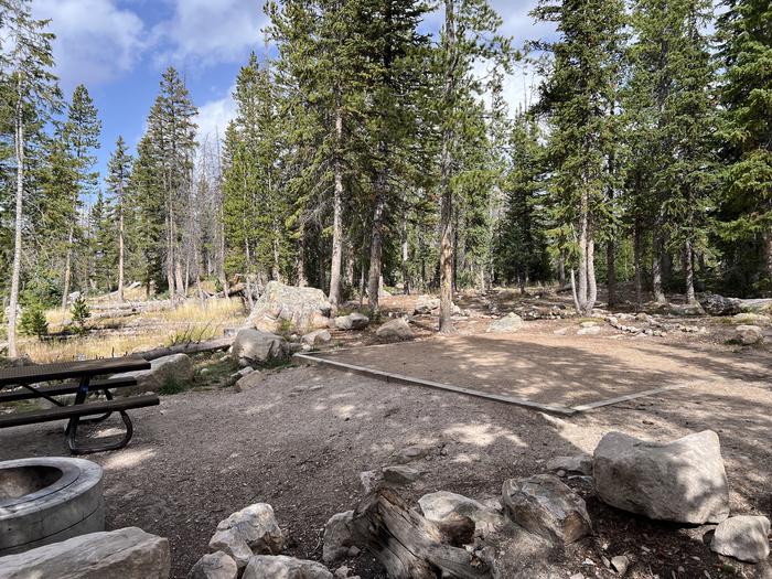 A photo of Site 030 of Loop C at MIRROR LAKE with Picnic Table, Fire Pit, Tent Pad