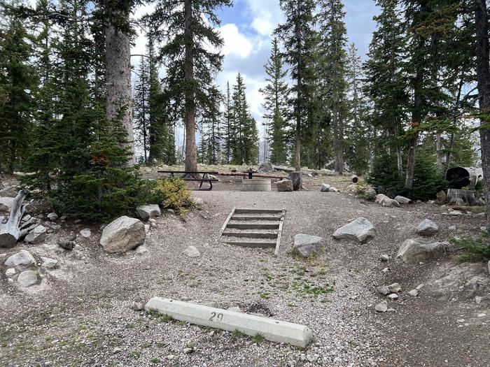 A photo of Site 029 of Loop C at MIRROR LAKE with Picnic Table, Fire Pit