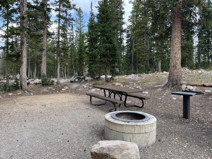 A photo of Site 029 of Loop C at MIRROR LAKE with Picnic Table, Fire Pit, Tent Pad