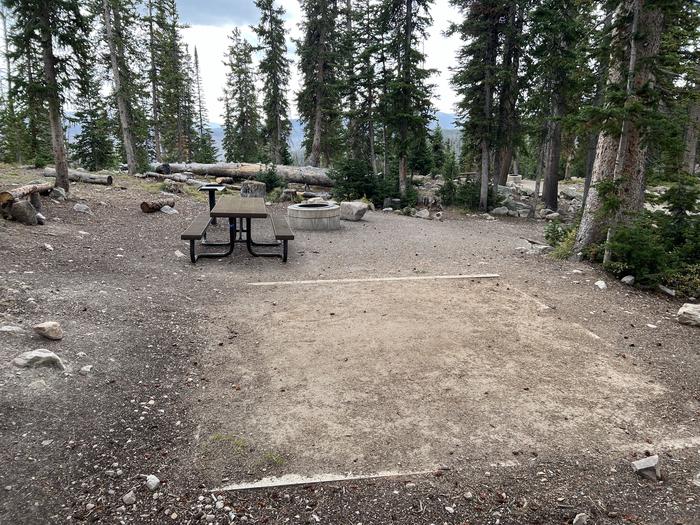 A photo of Site 029 of Loop C at MIRROR LAKE with Picnic Table, Fire Pit, Tent Pad