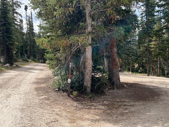 A photo of Site 040 of Loop B at MIRROR LAKE with No Amenities Shown