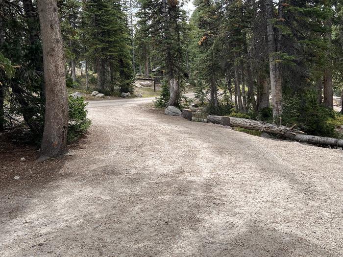 A photo of Site 040 of Loop B at MIRROR LAKE with No Amenities Shown