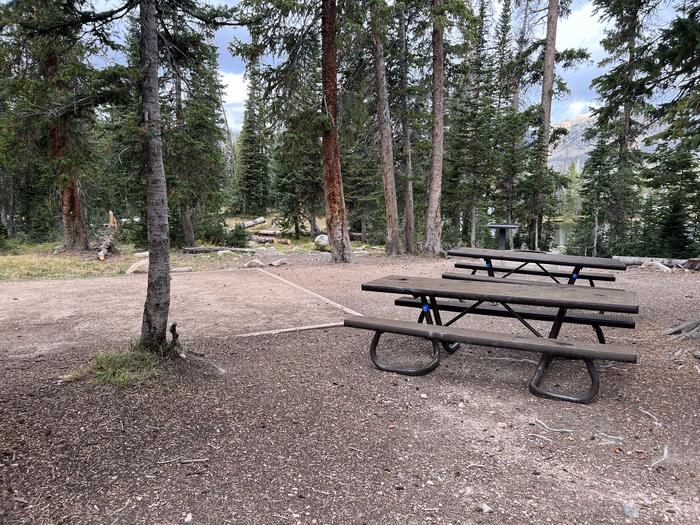 A photo of Site 050 of Loop D at MIRROR LAKE with Picnic Table, Tent Pad