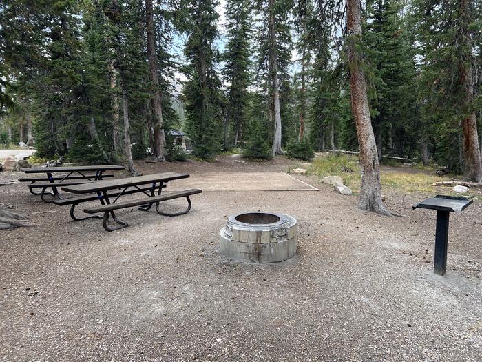 A photo of Site 050 of Loop D at MIRROR LAKE with Picnic Table, Fire Pit, Tent Pad