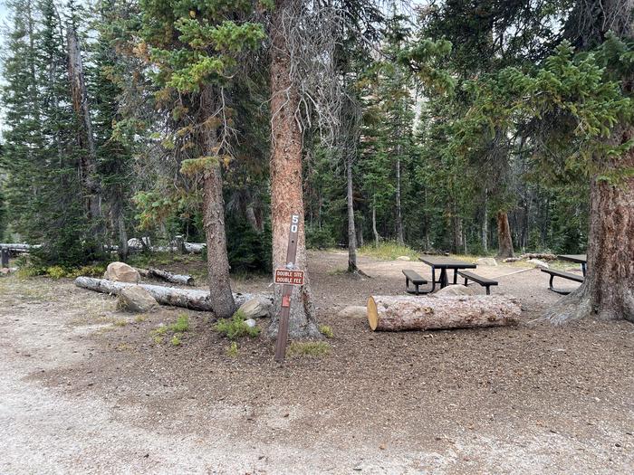 A photo of Site 050 of Loop D at MIRROR LAKE with No Amenities Shown