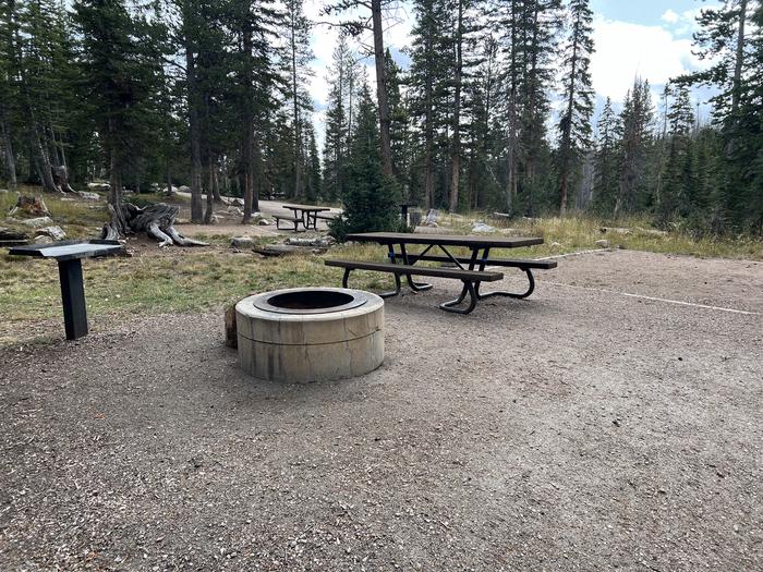 A photo of Site 064 of Loop A at MIRROR LAKE with Picnic Table, Fire Pit, Tent Pad