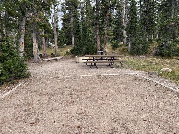 A photo of Site 064 of Loop A at MIRROR LAKE with Picnic Table, Fire Pit, Tent Pad