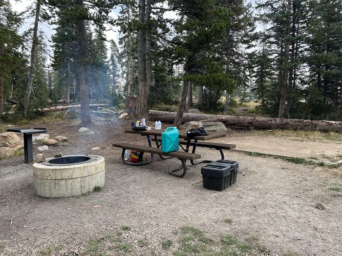 A photo of Site 057 of Loop A at MIRROR LAKE with Picnic Table, Fire Pit, Tent Pad