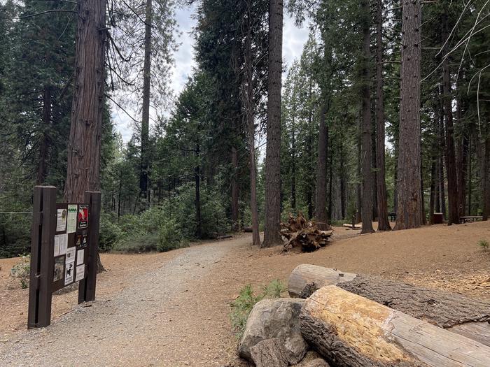 PONDEROSA COVE GROUP CAMPGROUND