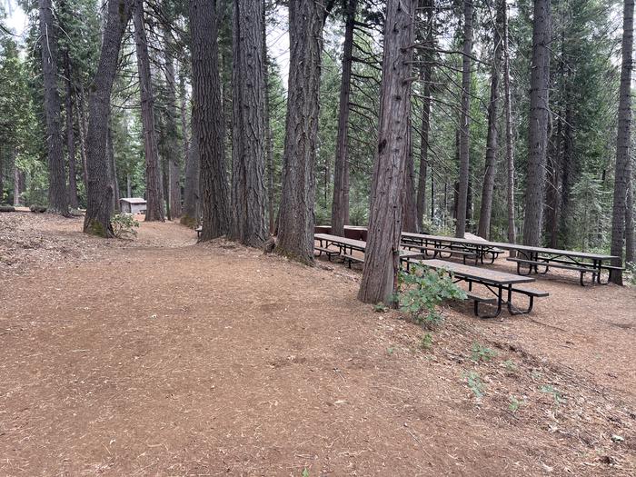 PONDEROSA COVE GROUP CAMPGROUND