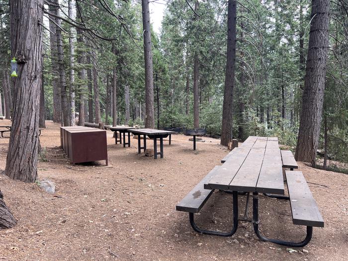 PONDEROSA COVE GROUP CAMPGROUND