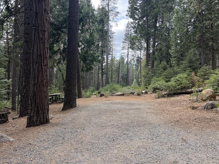 PONDEROSA COVE GROUP CAMPGROUND