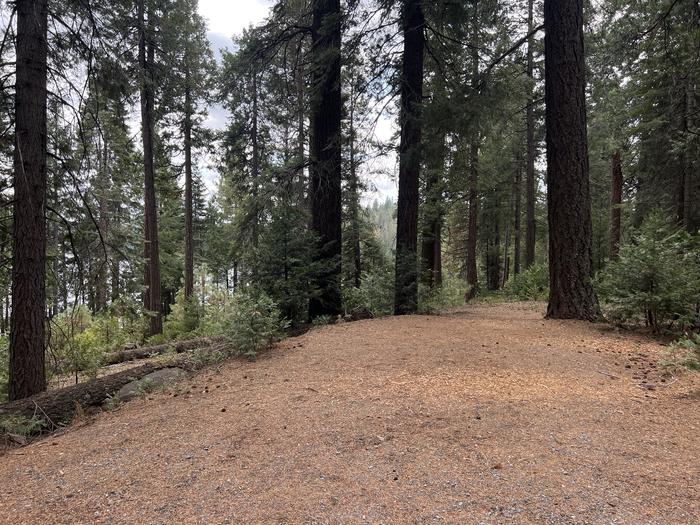 PONDEROSA COVE GROUP CAMPGROUND