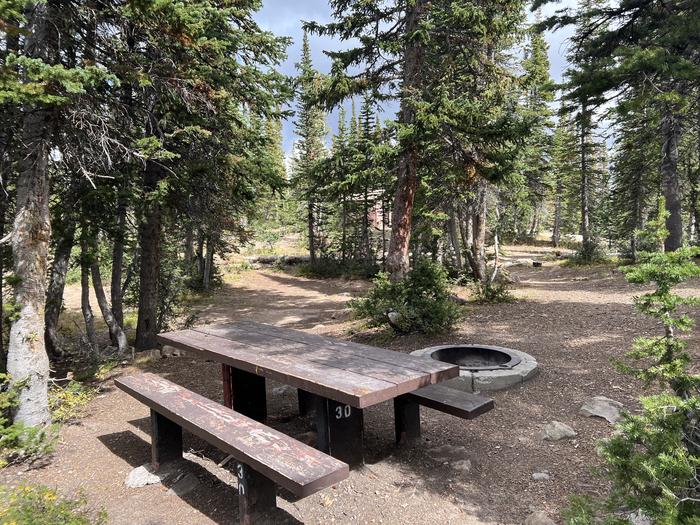 A photo of Site 030 of Loop MOOS at MOOSEHORN with Picnic Table, Fire Pit