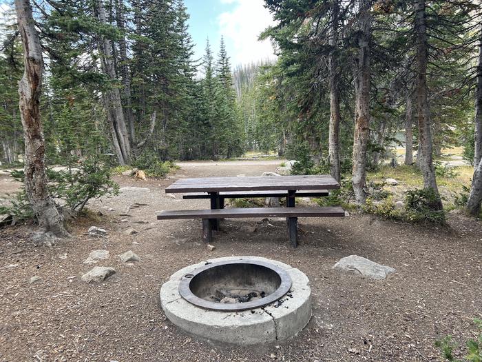 A photo of Site 030 of Loop MOOS at MOOSEHORN with Picnic Table, Fire Pit