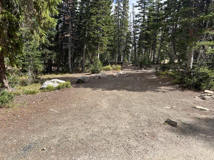 A photo of Site 030 of Loop MOOS at MOOSEHORN with No Amenities Shown